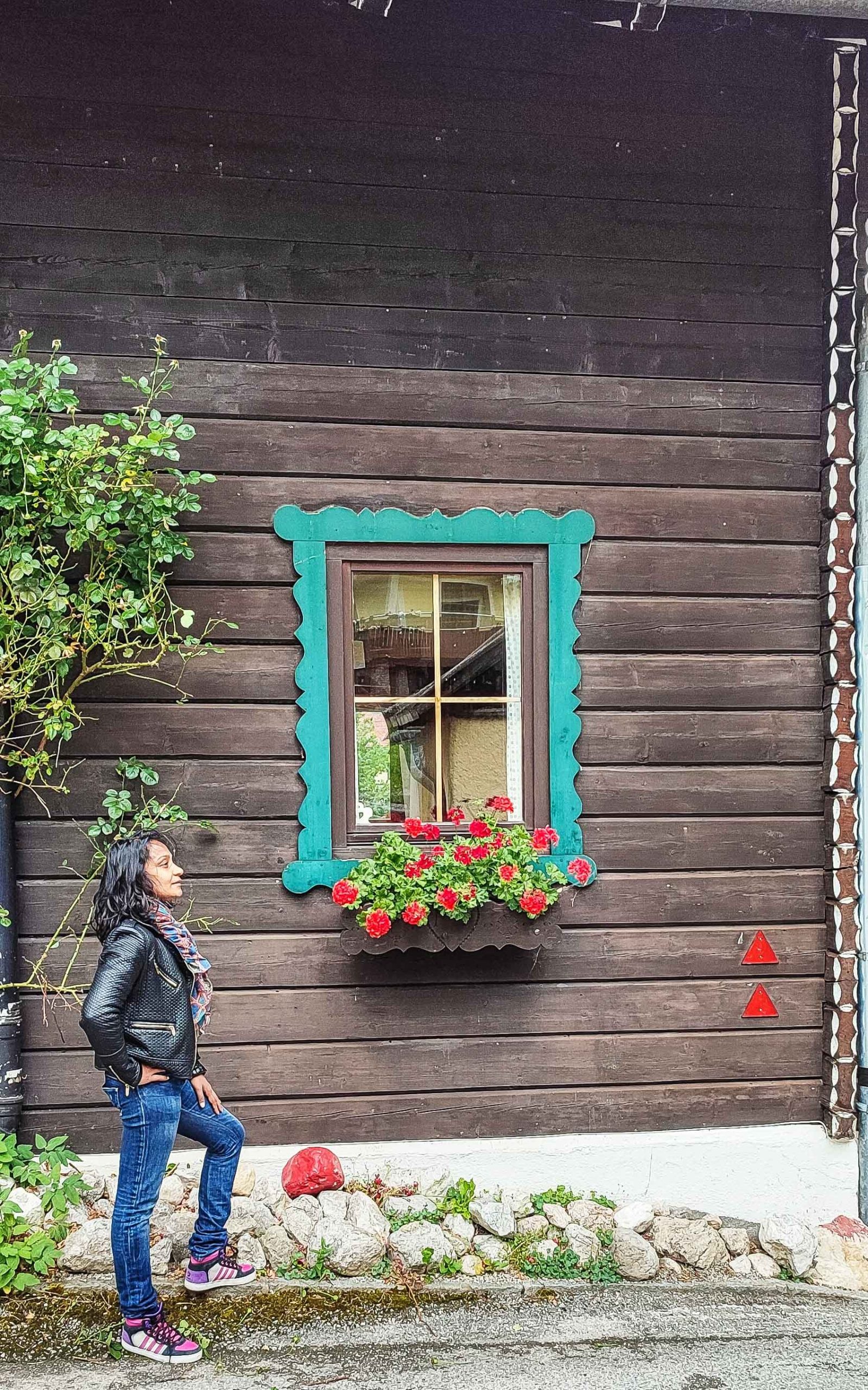 Visit hallstatt